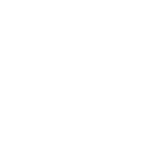 Installation-de-fenetres-de-toit